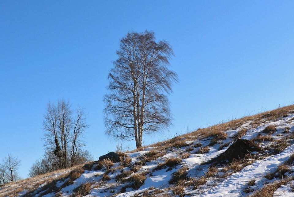 Klikni za ogled večje slike