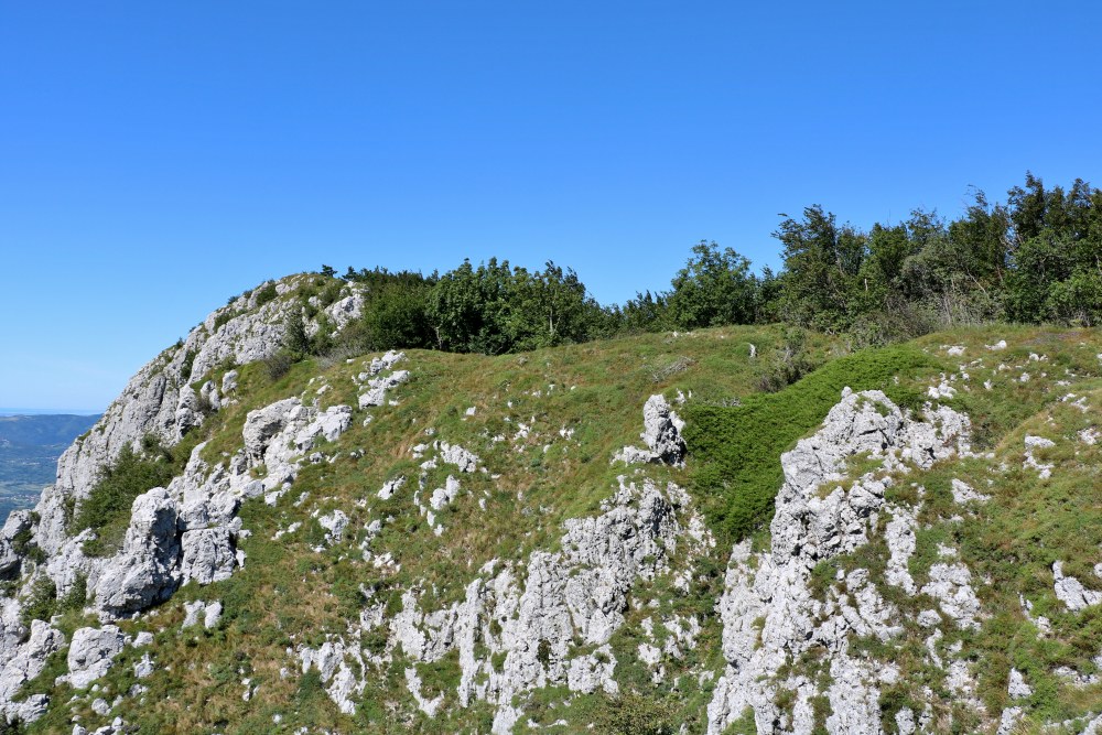 Klikni za ogled večje slike