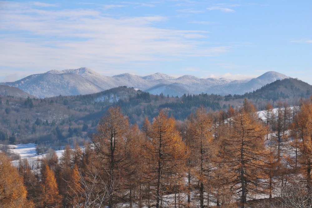 Klikni za ogled večje slike