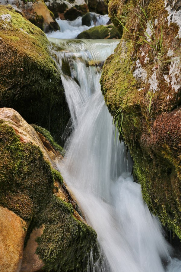 Klikni za ogled večje slike