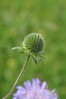 grabljisce IMG_2254.jpg