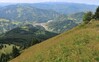 jelenovec IMG_6146.jpg