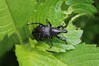 rilckar IMG_2012.jpg