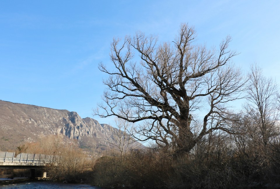 Klikni za ogled večje slike