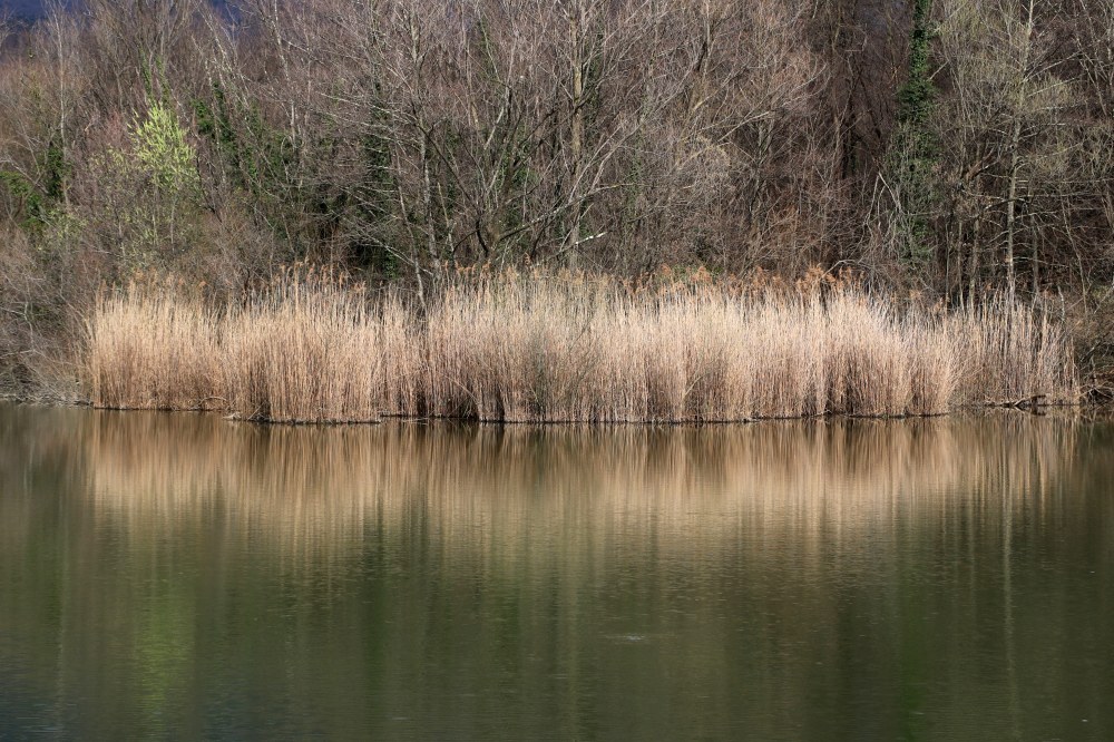 Klikni za ogled večje slike