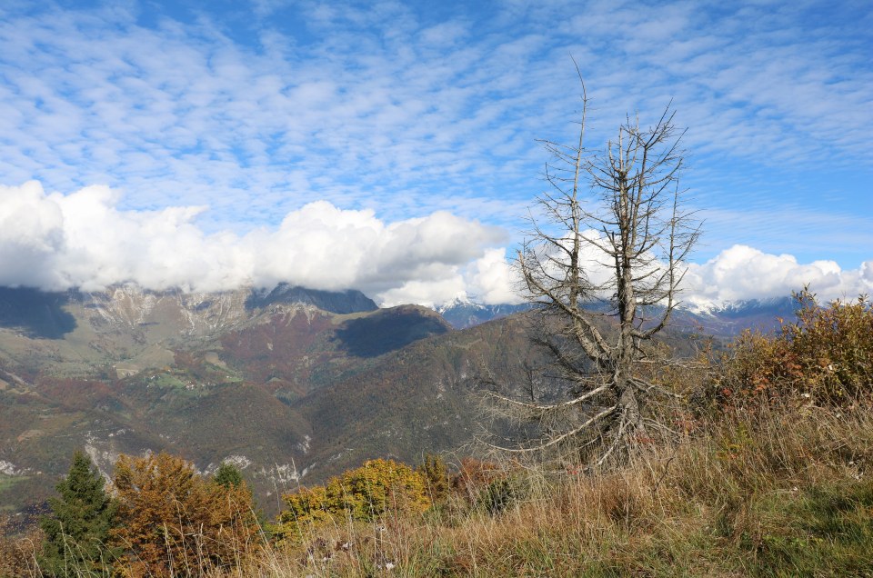 Klikni za ogled večje slike