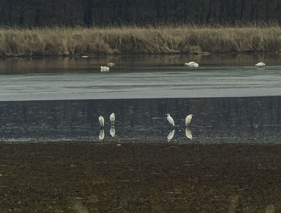 Klikni za ogled večje slike