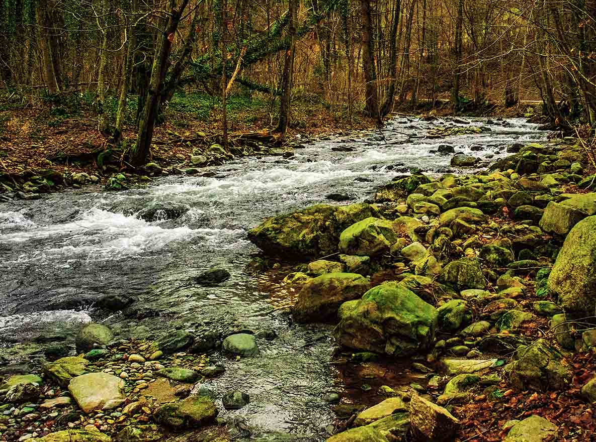 Klikni za ogled večje slike