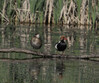 Ime datoteke: DSC07734 copy.jpg
Velikost datoteke: 409kB
Dimenzija: 1920x1612
Datum objave: May 01, 2025 DSC07734 copy.jpg