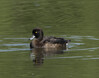 DSC07869-2 copy.jpg