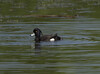 DSC07881-2 copy.jpg