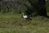 DSC07901 copy.jpg