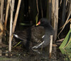 DSC07993 copy.jpg