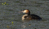 DSC08022 copy.jpg