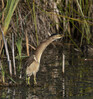 DSC08090 copy.jpg