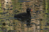 DSC08277 copy.jpg