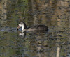 DSC08292 copy.jpg
