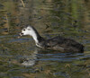 DSC08375 copy.jpg