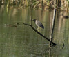 DSC08381 copy.jpg