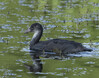 DSC08993 copy.jpg