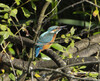 DSC09147 copy.jpg