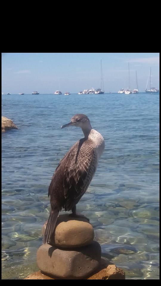 Klikni za ogled večje slike