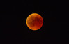 MoonEclipseP3V2FotoN.jpg