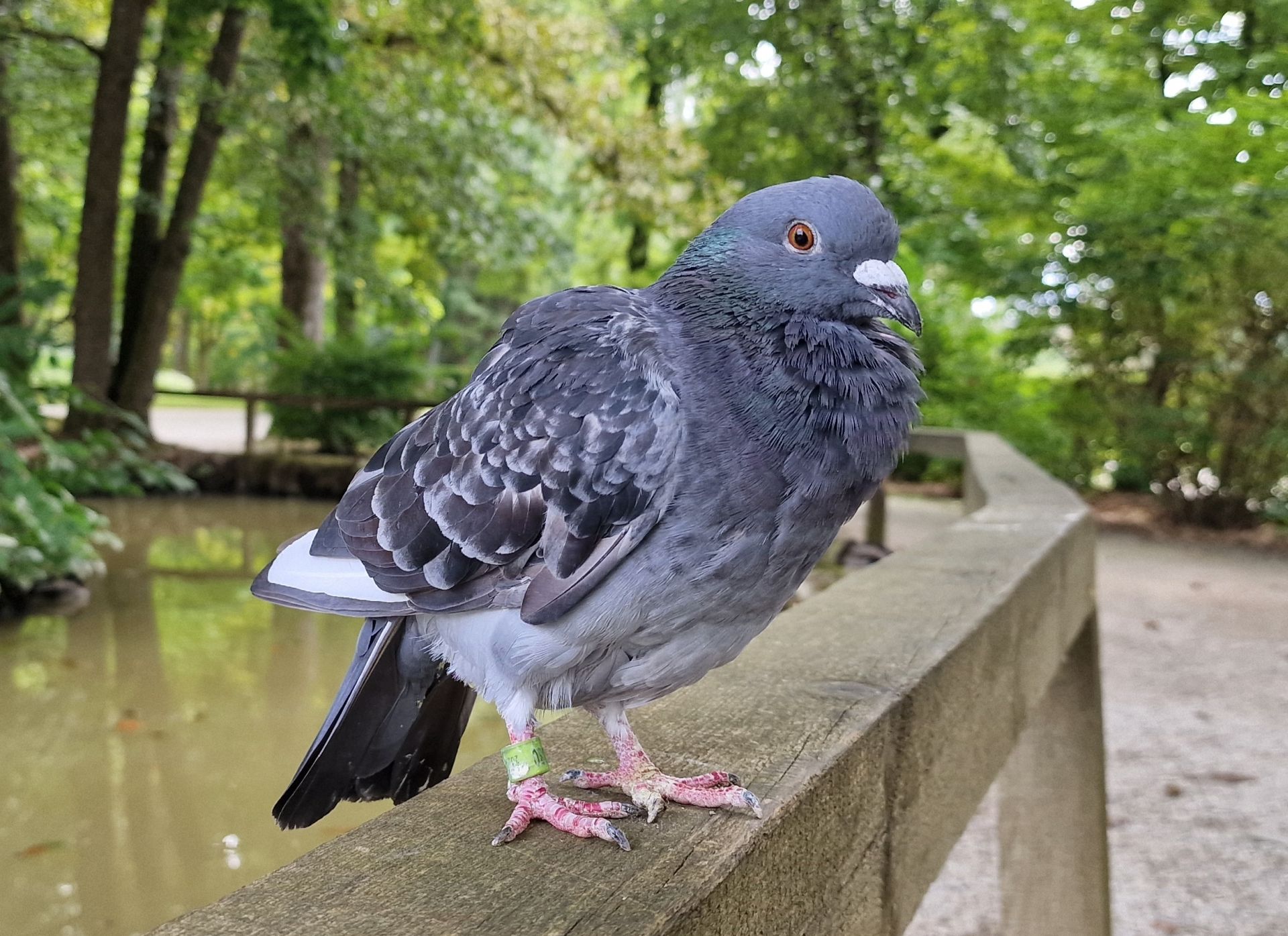 Klikni za ogled večje slike