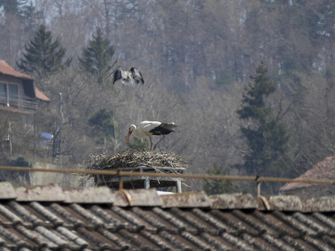 Klikni za ogled večje slike