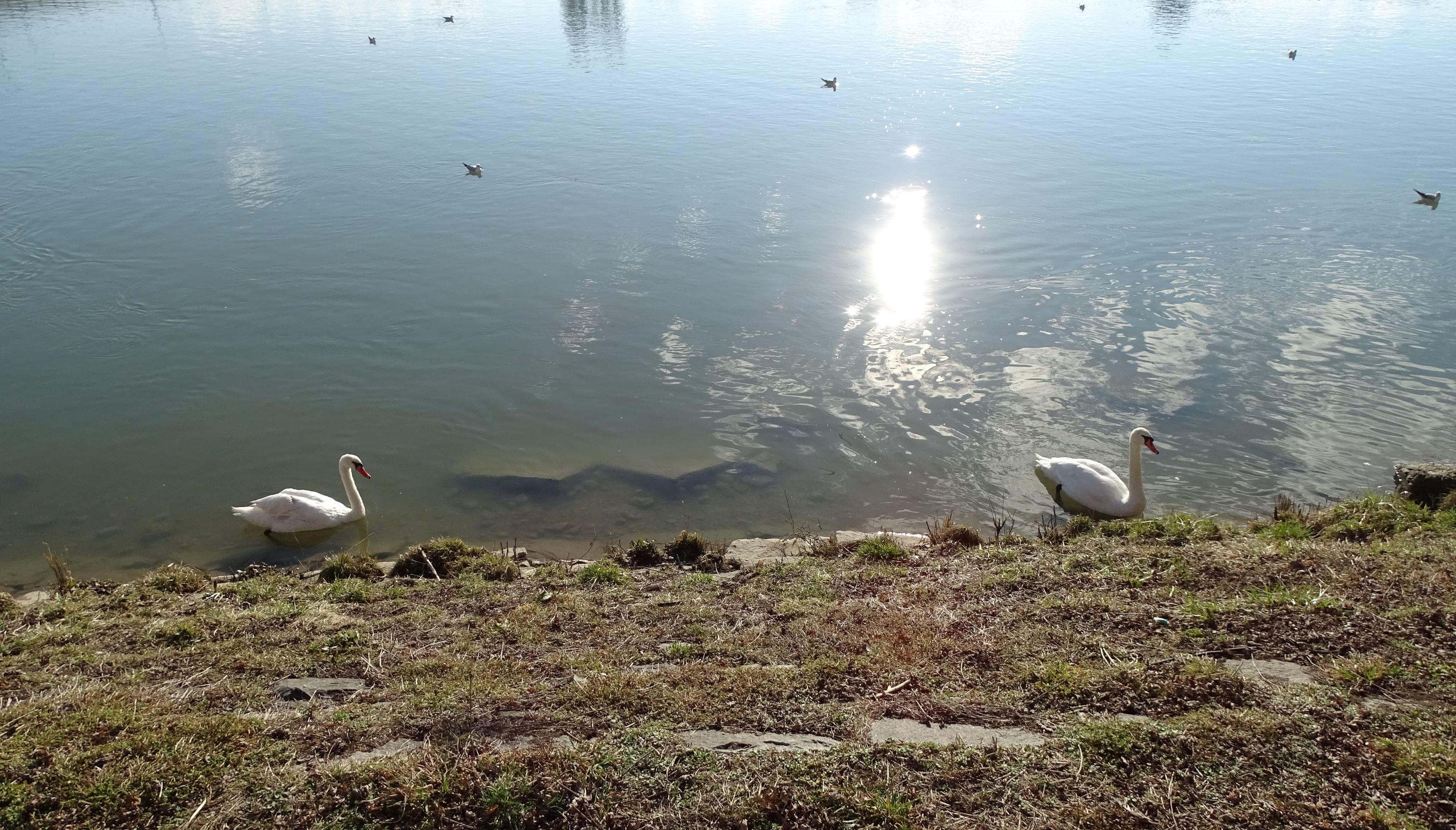 Klikni za ogled večje slike