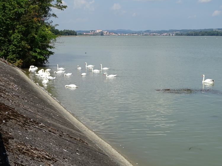 Klikni za ogled večje slike